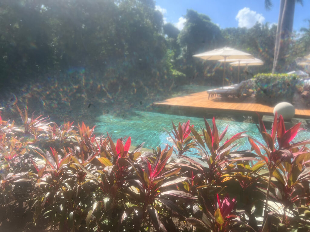 Garden and Pool at Grand Velas