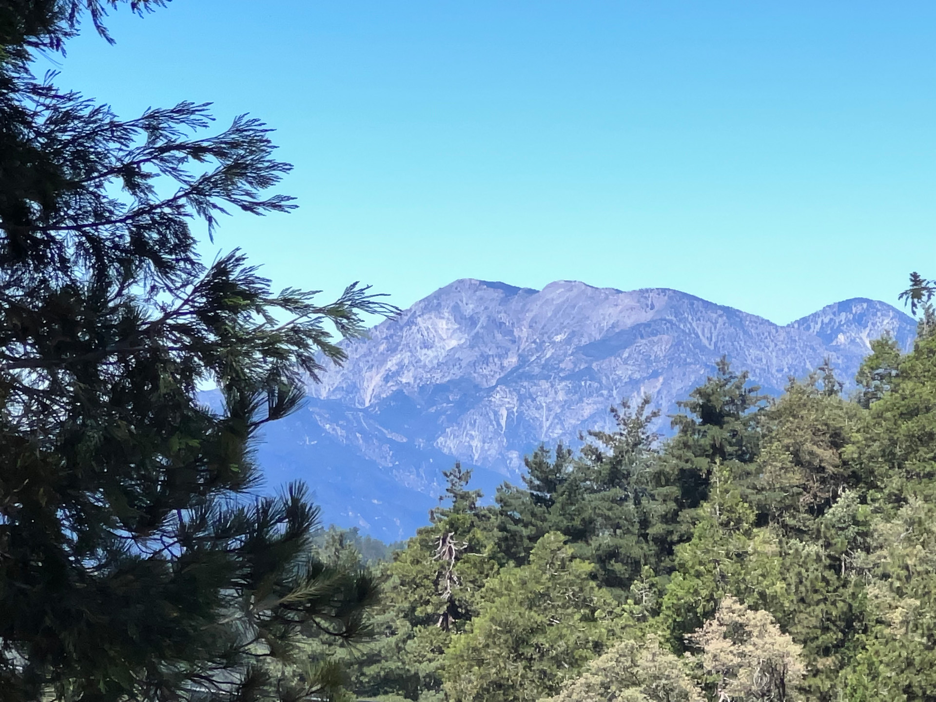 Mountain View from the Perch at the Crestline