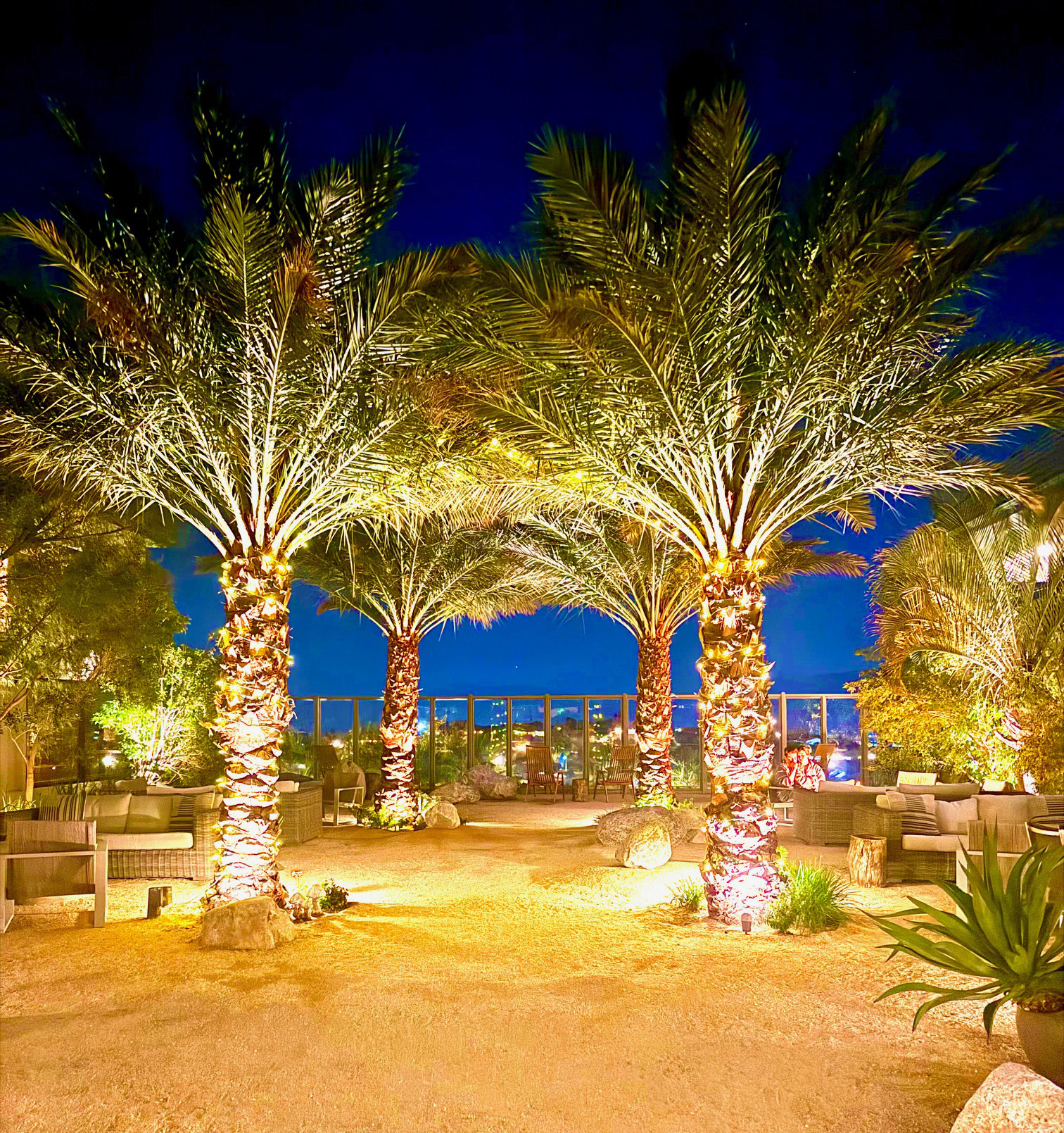 Palm Trees at night at Miracle Springs Spa