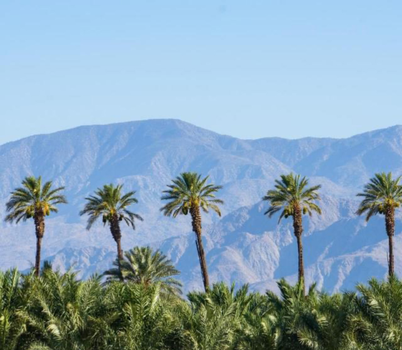 Scenery of Desert Hot Springs