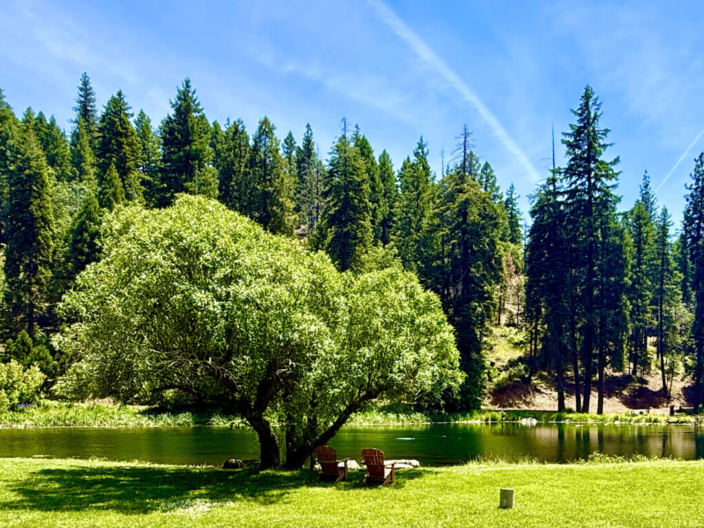 Pond Fly FIshing at Greenhorn Ranch