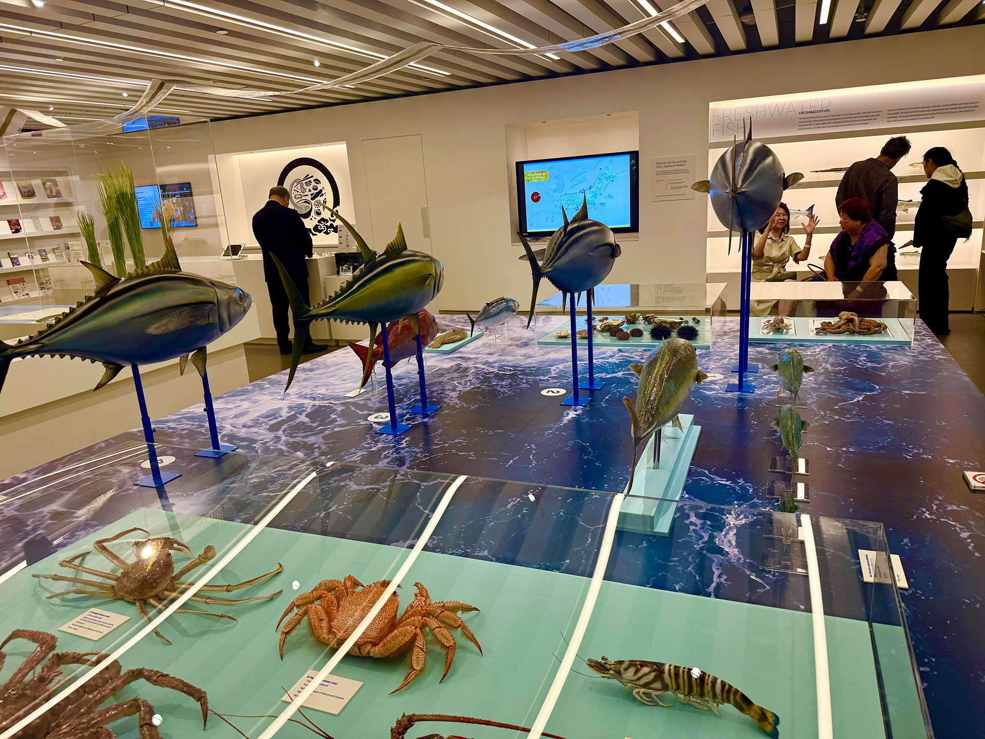 Seafood Display at the Japan House